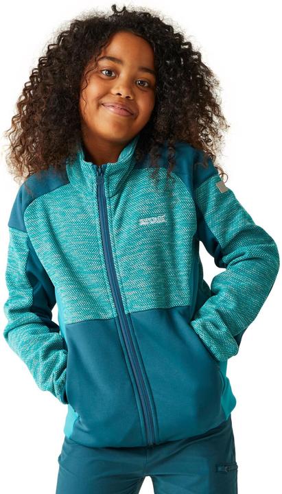 Actual product image Regatta Childrens/Kids Highton III Fleece Jacket (104)