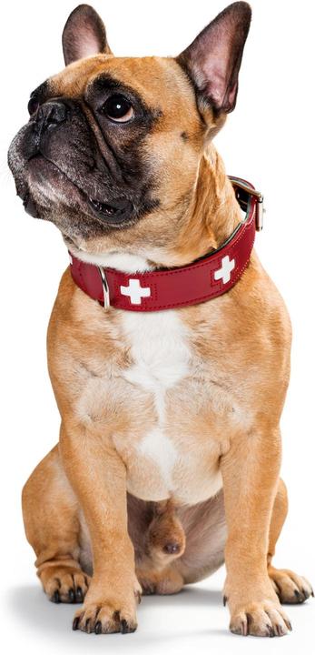 Produktbild Hunter Halsband Swiss Echtleder (XS, S, Hund, Allgemein)