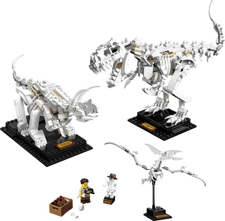 Image du produit LEGO Fossiles de dinosaures (21320, LEGO Ideas)