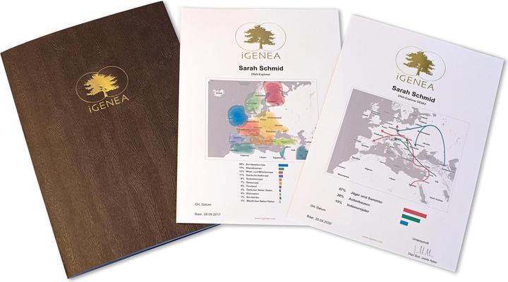 iGenea DNA Origins analysis Basic