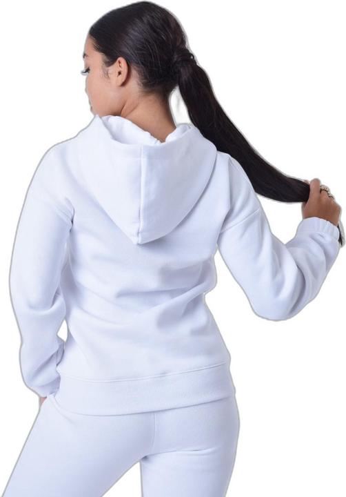 Image du produit Project X Paris seatshirt à capuche brodé (L)