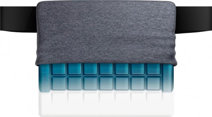 Image du produit Technogel Lordosenstütze (31 x 26 x 6 cm)