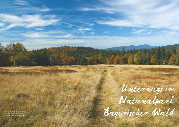 Produktbild Meine Lieblingsausflüge Bayerischer Wald (Deutsch, Herwig Slezak, 2018)