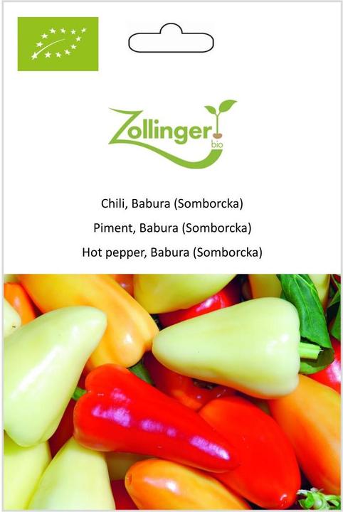 Zollinger Bio Chili, Babura (Somborcka) (Germes)