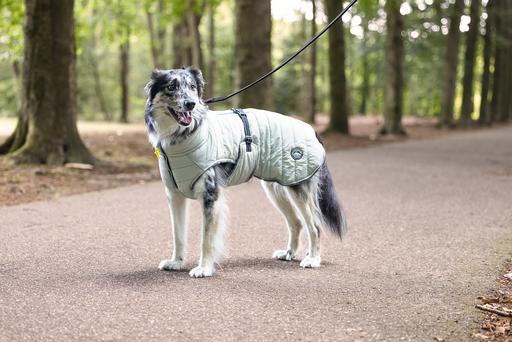 Produktbild Beeztees Bz Hund Mantel Bobby Taupe 52 (52, Hundemantel)