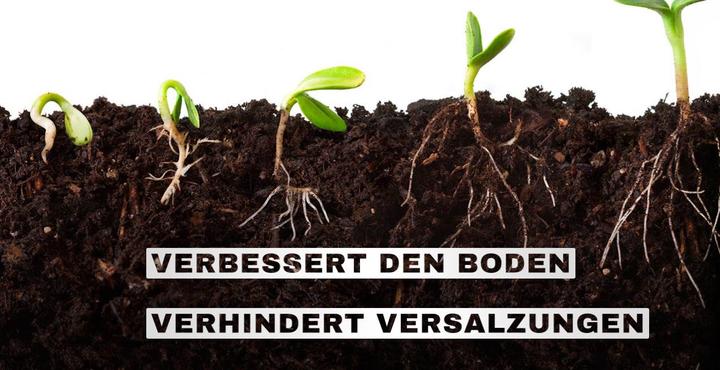 Immagine prodotto GrowsArtig Alfa Boost (0.99 kg, 1 l)
