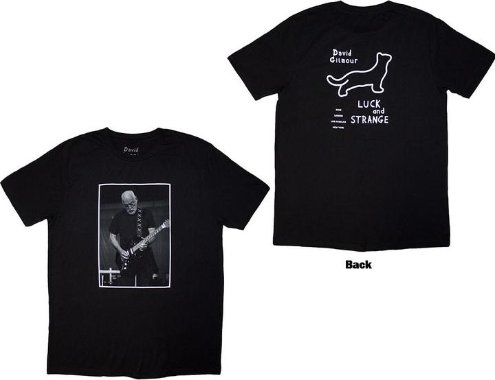David Gilmour Luck & Strange Black Cat Strat