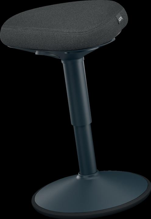 Produktbild Leitz Ergo Active