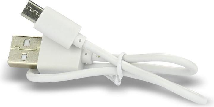 Actual product image Everactive 16340 / RCR123A 3.7V 700 mAh - Rechargeable battery (1 pcs., RCR123A, 650 mAh)