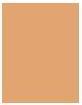 Actual product image Sally Hansen Airbrush Legs Fluid (MEDIUM)