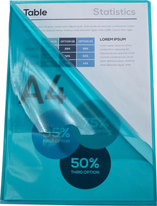 Actual product image Exacompta Sleeves and bags (A4, 100 x)