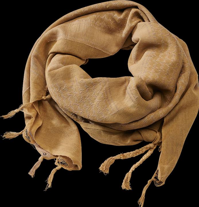 Cammello