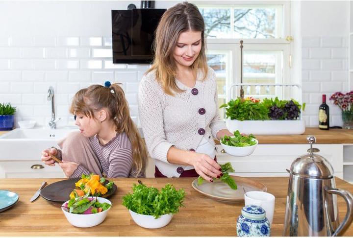 Produktbild Click and Grow Smart Garden 9 (62.50 cm)