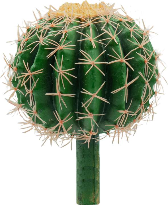 Actual product image Novidarte Art cactus 19x25 cm