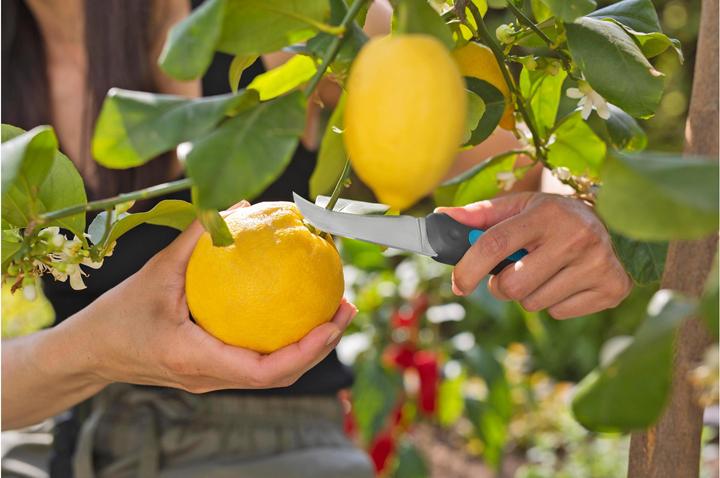 Actual product image Gardena VeggieCut