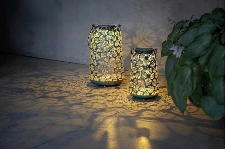 Immagine prodotto STT Antic Monstera