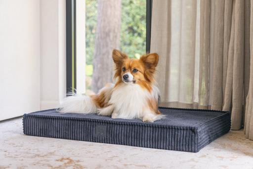 Actual product image Designed by Lotte Orthopaed cage cushion Ribbed (Dog)