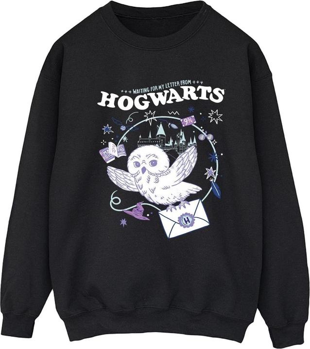 Owl Letter From Hogwarts Sweatshirt (L)