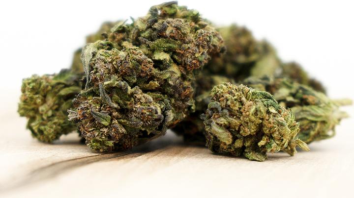 Immagine prodotto Herba di Berna Mango Haze (45 g, Esterno)