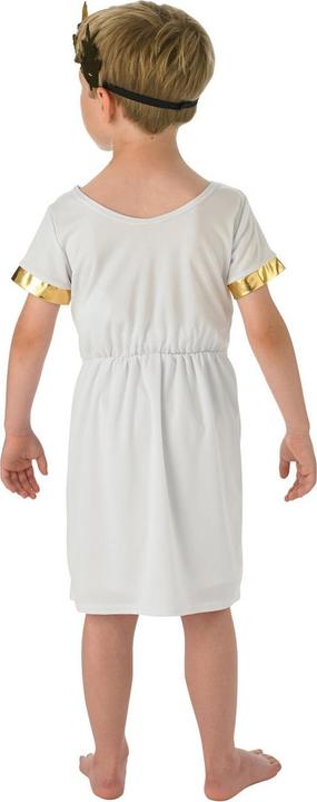 Immagine prodotto Bristol Novelty Bambini Romano Costume (M)