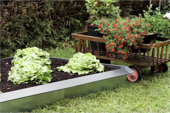 Actual product image Windhager Snail-fence wall (115 cm)