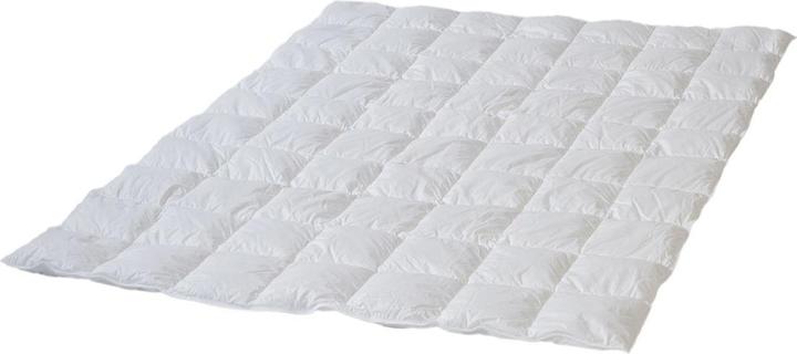 Produktbild BettwarenShop Canada (1932 g, 240 x 220 cm)