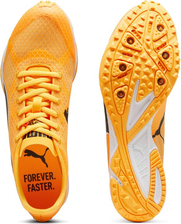 Produktbild Puma evoSPEED Haraka 8 Unisex (12)
