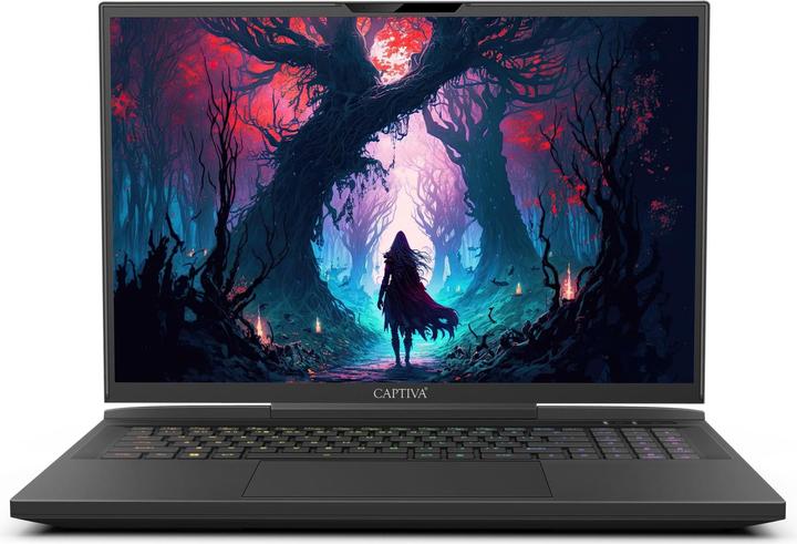 Actual product image Captiva I81-491 RTX 4070 (17.30", Intel Core i9-14900HX, 64 GB, 1000 GB, DE)