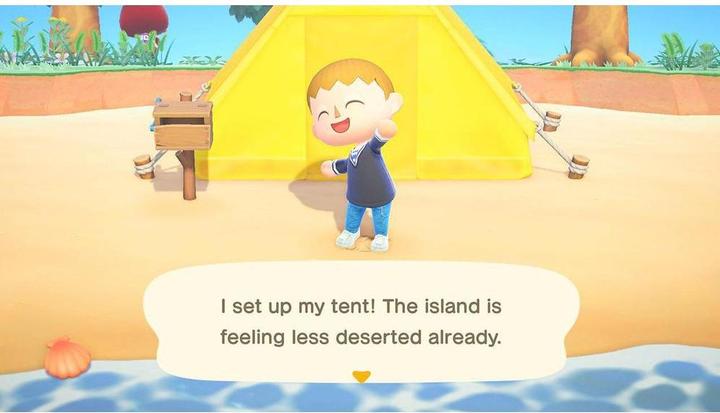 Actual product image Nintendo Animal Crossing: New Horizons (Switch, Multilingual)