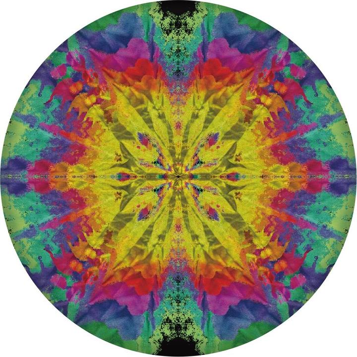 Image du produit Waboba Wingman Pro (1 pièce, couleurs assorties)
