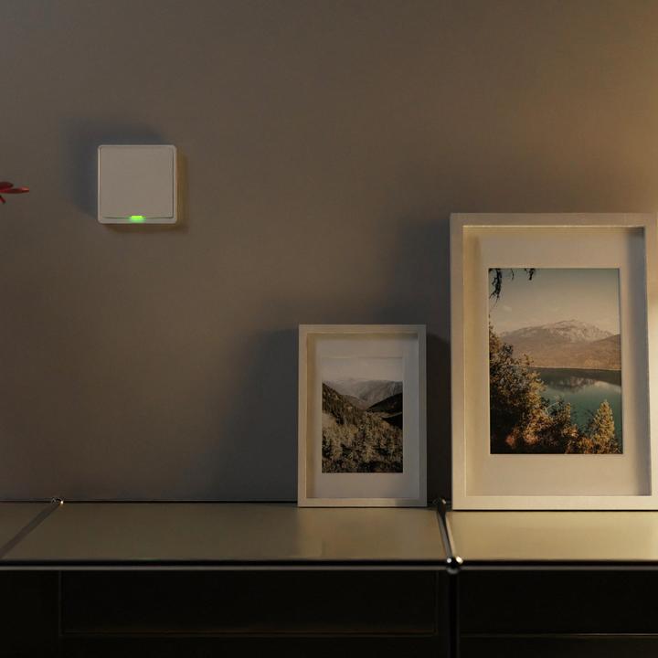 Actual product image Tesla TSL-SWI-ZIGBEE1