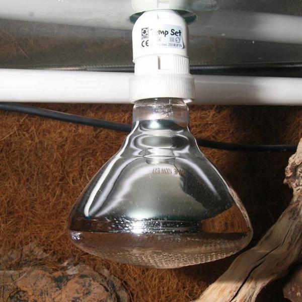 Image du produit JBL Aquaristik und Terraristik Solar UV-Spot plus 100 W / E27 (UVB)