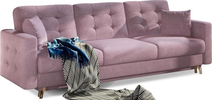 Purple Soro 61