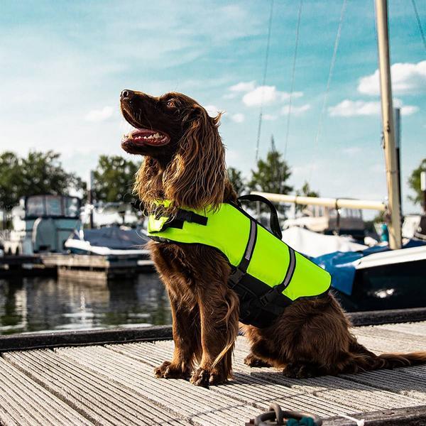 Produktbild Nobby Hunde Schwimmhilfe (40, Hundeschwimmweste)