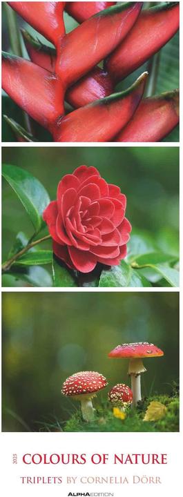Alpha Edition Colours of Nature : Triplets 2025 Calendrier à bandes XXL, 25x69cm, calendrier avec 3 (25 x 69 cm, Allemand)