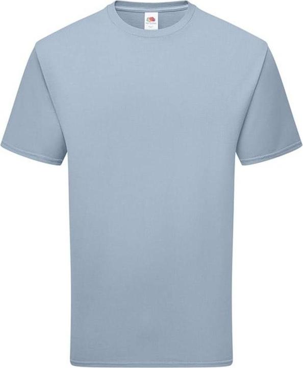 Actual product image Fruit of the Loom Unisex Adult Cotton T-Shirt (L)