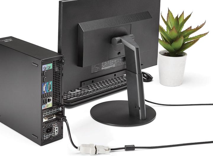 Actual product image StarTech Displayport Video Converter (DVI, 24 cm)