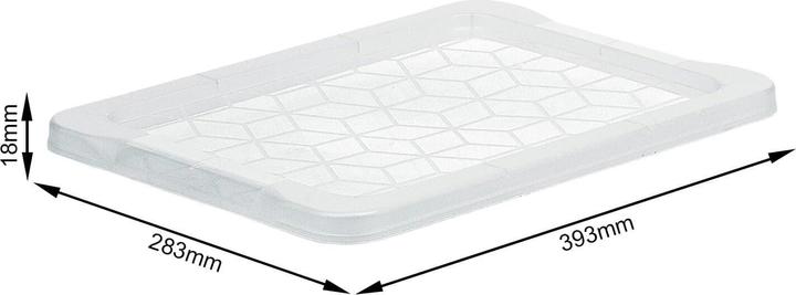Actual product image Rotho Lid for Evo Easy (59 x 2 x 39.5 cm, 1 l)
