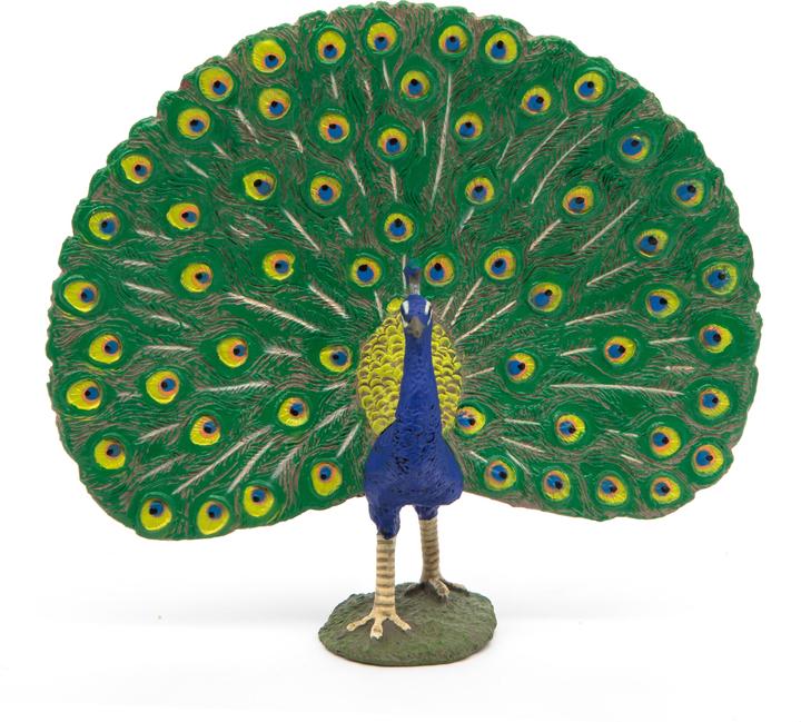 Actual product image Papo Peacock
