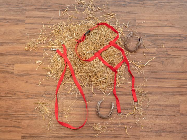 Immagine prodotto Betzold Imbracatura per cavalli per bambini