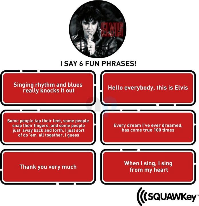 Actual product image NMR Distribution Elvis: SQUAWKey Talking Keychain