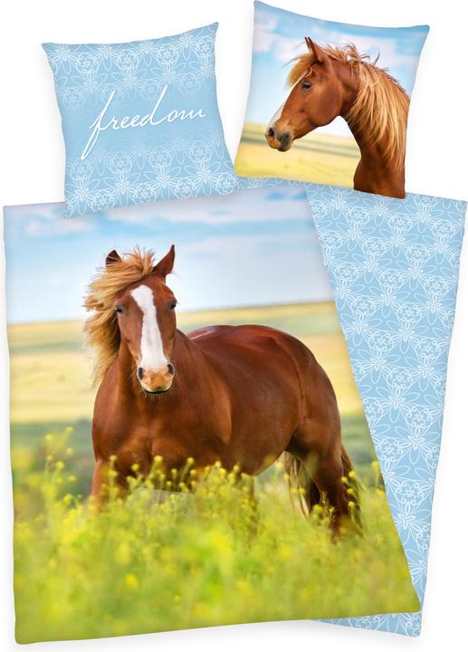Image du produit Herding Chevaux