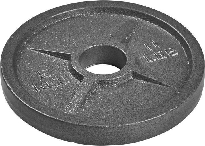 Immagine prodotto Tanga Sports ® Hantelscheibe Guss