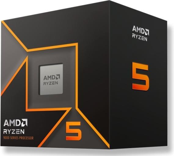 Actual product image AMD Ryzen 5 9600 MPK 12 units