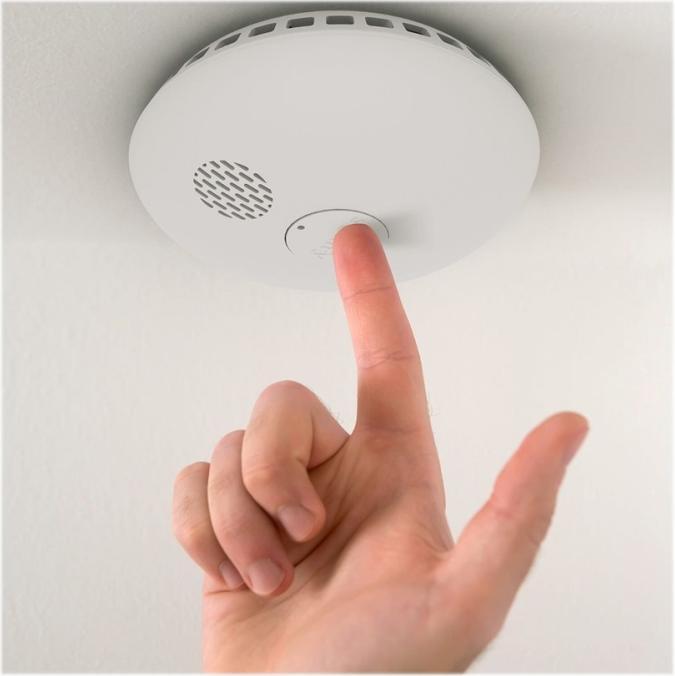 Actual product image somfy Radio Smoke Alarm Home Alarm 1870289