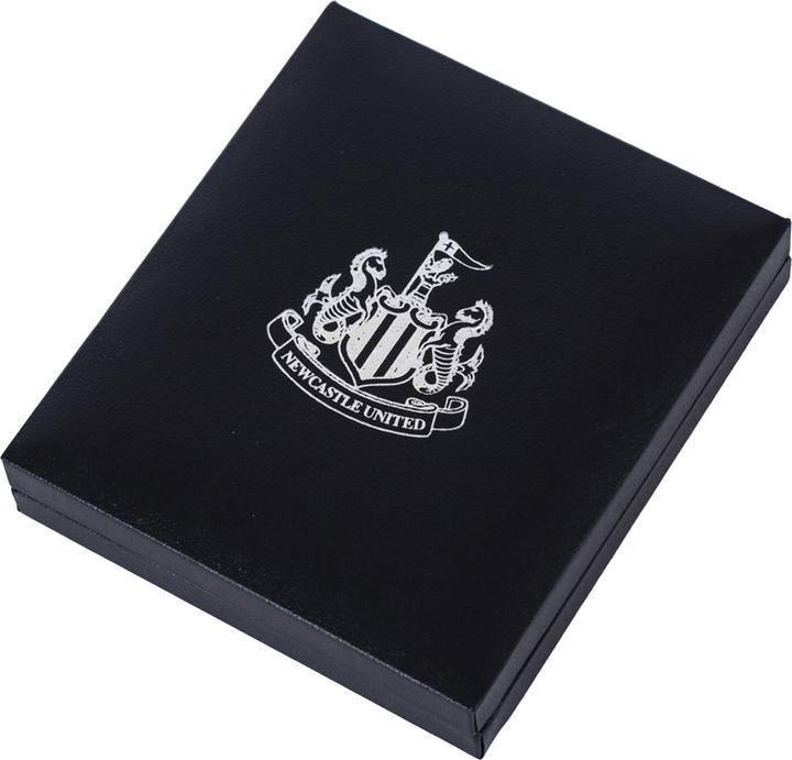 Produktbild Newcastle United FC Halskette mit Anhänger Goldfarben lackiert (100% synthetisches Material)