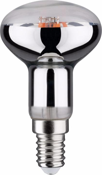 Paulmann Lampe pour plantes (E14, 4 W, 100 lm, 1 x, B)