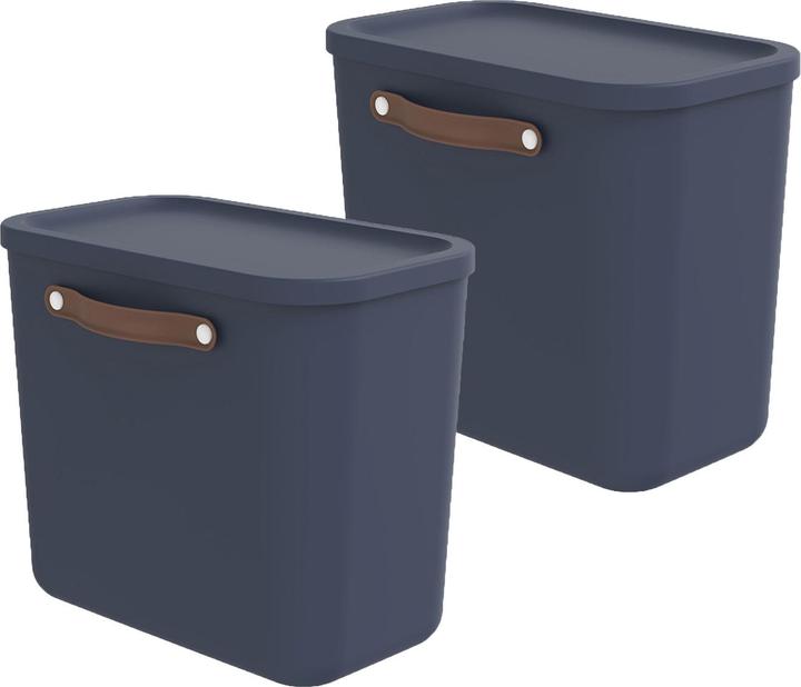 Immagine prodotto Rotho Set di 2 contenitori Maloja 25l (25 l)