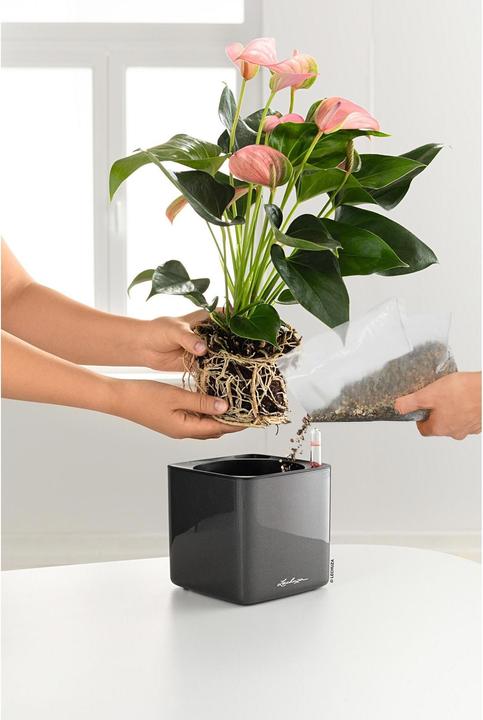 Image du produit Lechuza Cube Glossy 14 (14 cm)