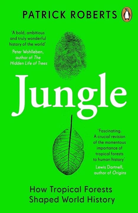 Image du produit Jungle (Anglais, Patrick Roberts, 2022)